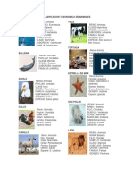 Clasificacion Taxonomica de Los Animales y Vegetales