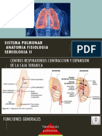 Sistema respiratorio: anatomía, fisiología y volúmenes pulmonares
