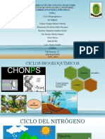 Ciclos Biogeoquímicos