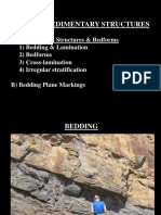 Primary Sedimentary Structures