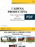 Cadena Productiva de La Carne Bovina