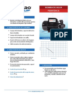 Ficha-Bomba-Periferica.pdf