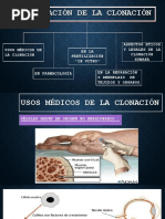 Aplicación de La Clonación