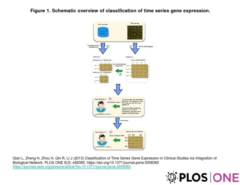 Figure 1. Schematic Overview of Classification of Time Series Gene ...