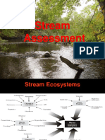 River Assessment