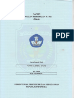 scan raport.pdf