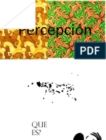 Percepción PPSX