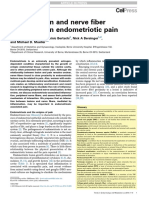 Inflammation and Nerve Fiber