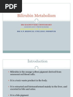 Download Bilirubin Metabolism by Physiology by Dr Raghuveer SN40167656 doc pdf