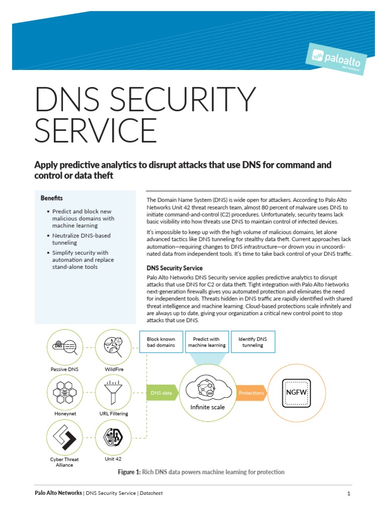 DNS Security | PDF | Domain Name System | Malware