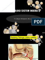 Farmakologi Sistem Indera