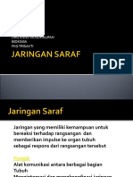 Jaringan Saraf