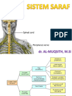 SISTEM SARAF PUSAT Sumber Lain PDF