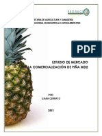 Estudio-de-Mercado-para-la-comercializacion-de-pina-MD2.pdf