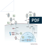 Nrmicro3132 pf2