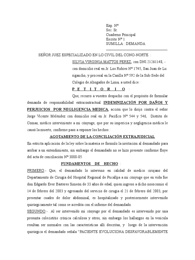 Dda. Indemnizacion Negligencia Medica. | PDF | Demanda judicial ...
