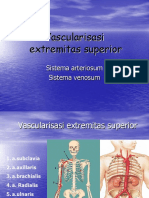 Vascularisasi Extr. Sup & Inf