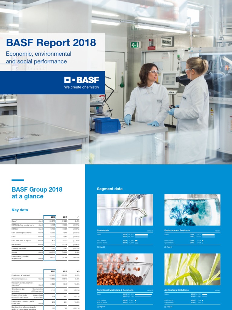 Basf Report 18 Financial Statement Sustainability