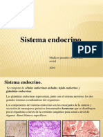 Sistema_endocrino.pdf