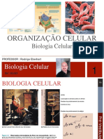 Biologia celular 0103 02 ENEM Metabolismo celular.pdf