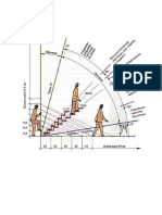 Dimensiuni Scari Trepte