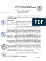 Directiva Oge Unasam 2019 (Rcur-395-2018-Unasam) PDF