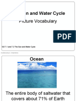 The Sun and the Water Cycle Picture Vocabulary