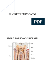 Penyakit Periodontal