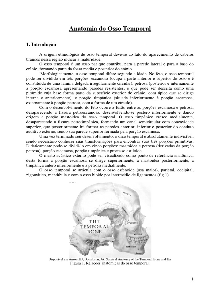 Anatomia Do Osso Temporal | PDF | Audição | Anatomia animal