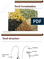 Seeds and Seed Germination: © 2008 Paul Billiet