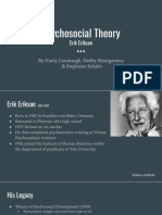 Psychosocial Theory