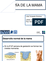 Tortajada4416Mar16 PDF