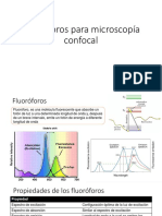 Fluoróforos optimizados para microscopía confocal
