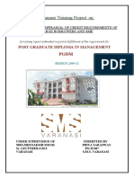 Credit Analysis of Large Borrowers and SMEs