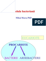 Microbiologie Generala - Curs 2
