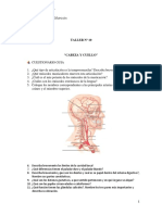 Taller Nº10