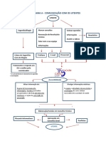 Fluxogramas Da USF CelaSaúde PDF