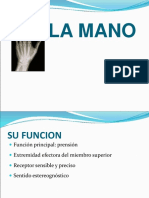 Clase 2 - Mano y Lesiones Mas Frecuentes