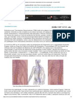 Combate Ao Traumatismo Raquimedular Tem Foco Na Prevencao