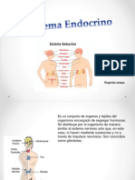 Biologia Sistema Endocrino