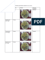 Hasil Uji Sensitifitas Pada Bakteri Staphylococcus Aureus