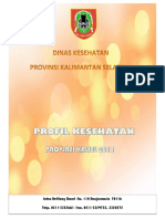P.Prov - Kalsel 11 PDF