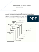 Normas Para Elaboracao Do Relatorio de Aula Pratica de Quimica Experimental