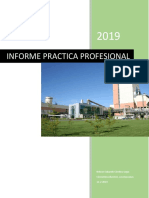Informe Practica Profesional PDF