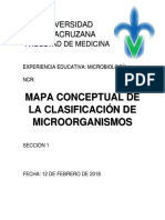 Clasificación de Microorganismos