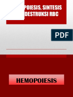 Hemopoiesis, Sintesis Dan Destruksi RBC