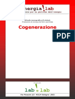 Cogenerazione.pdf