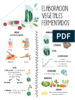 vegetales-fermentados-infografía