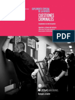 Cuestiones Criminales PDF