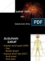 Kuliah 1 Neurosains Saraf tepi 2017.ppt